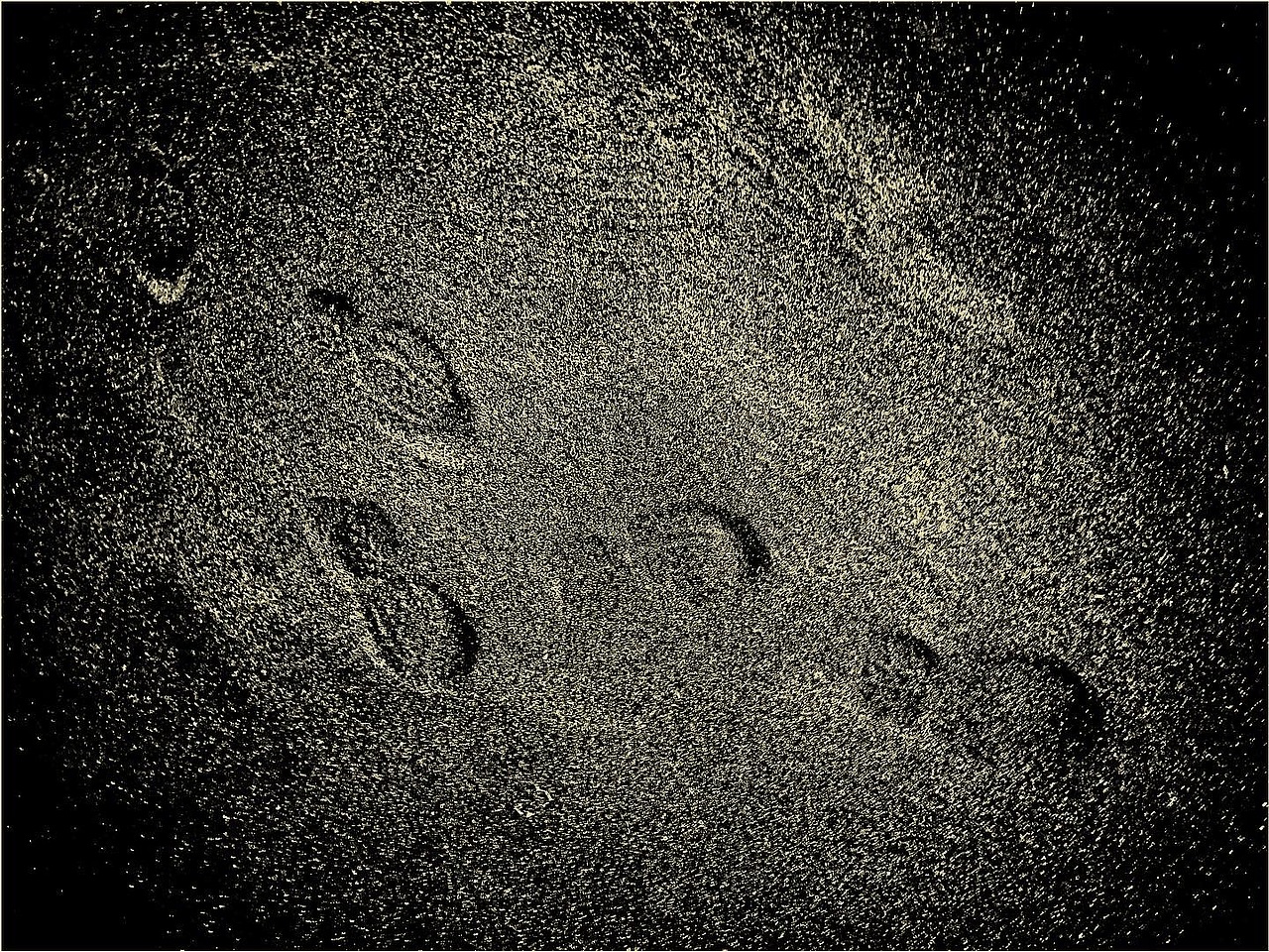 海龟先生「死不回头」