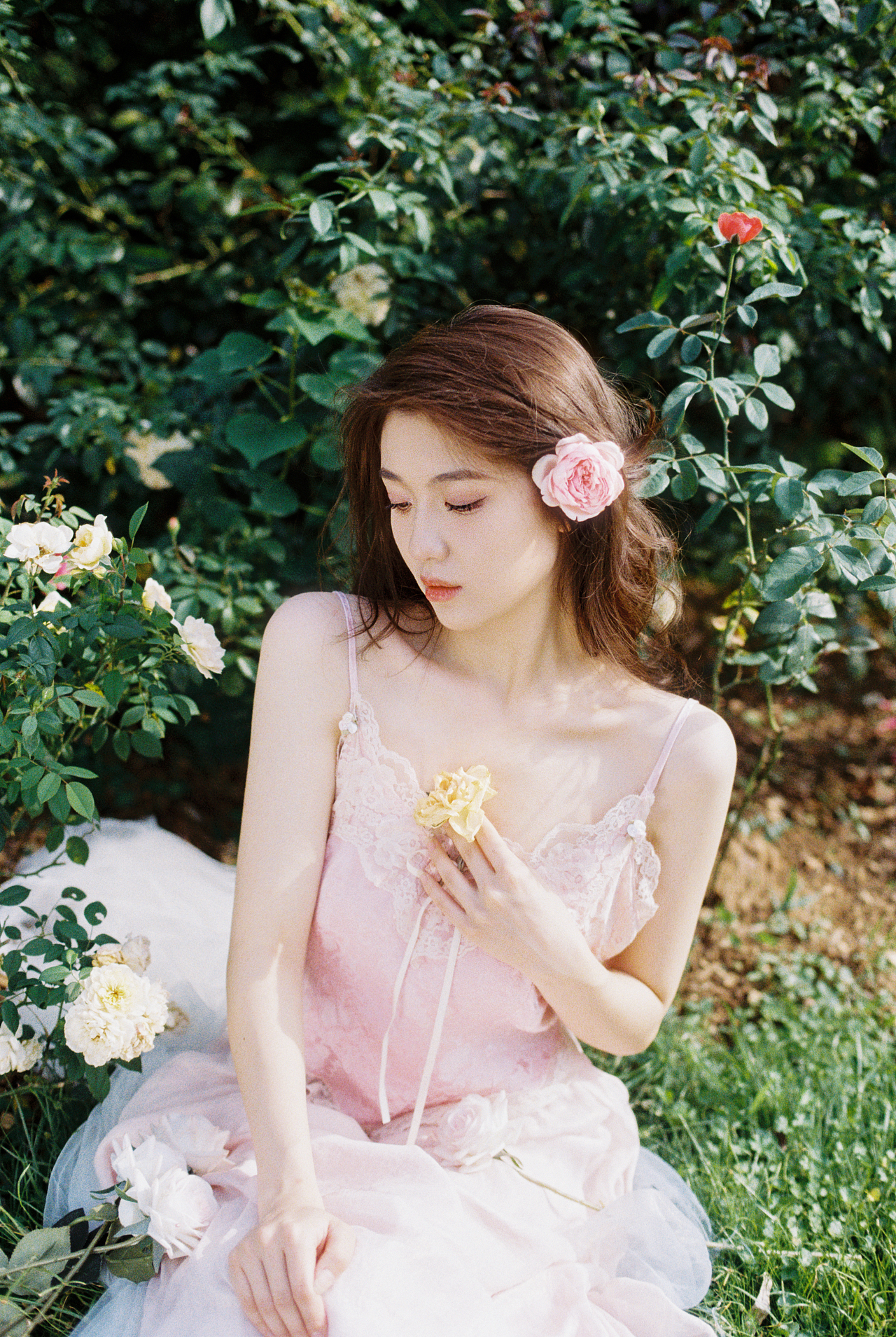 花蕊（图ZMzExNDIyMzM2） - 人像摄影 - 站酷设计师太阳酱Catnip原创素材 - 站酷ZCOOL