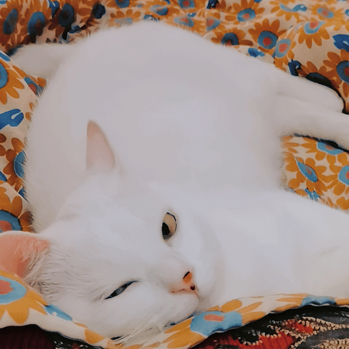 Thanks for watching~