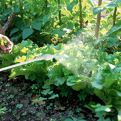 亚马逊产品拍摄主图A+设计