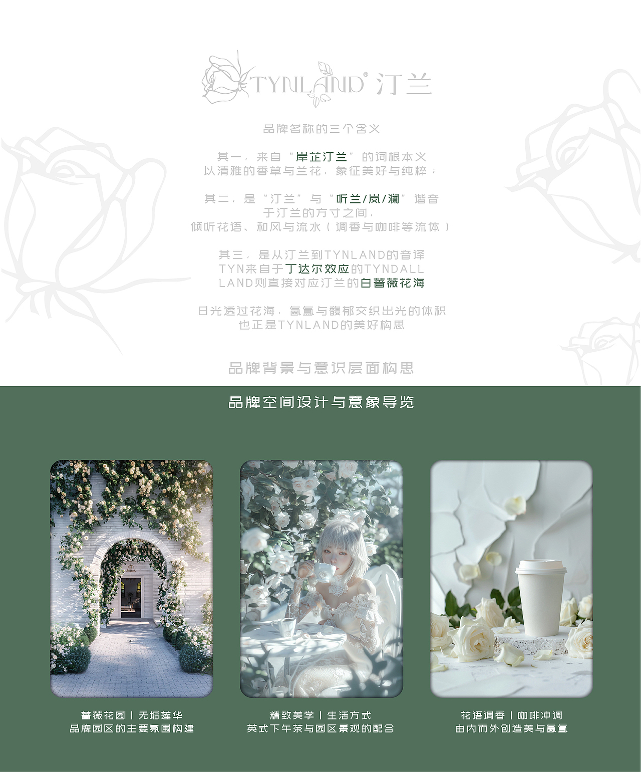 品牌全案设计丨TYNLAND汀兰艺术生活馆