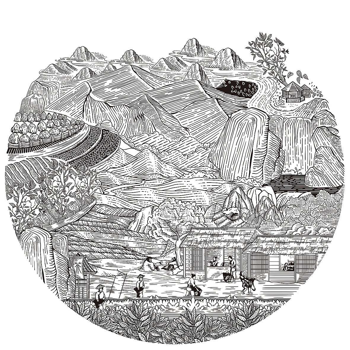 版画绘画（图ZMzEwMDU4MjE2） - 商业插画 - 站酷设计师戴冠豪一包装设计原创素材 - 站酷ZCOOL