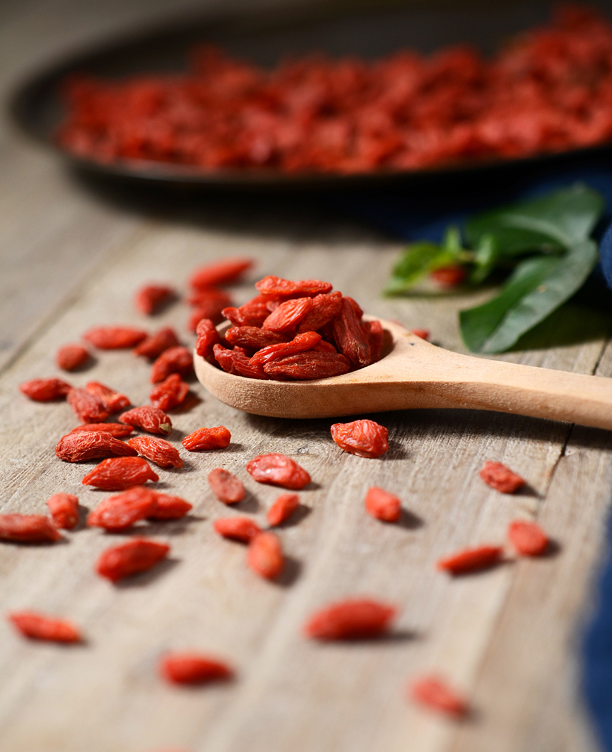 滋补养生-枸杞（图ZMjM3NzQ2ODQw） - 产品摄影 - 站酷设计师琦林摄影原创素材 - 站酷ZCOOL