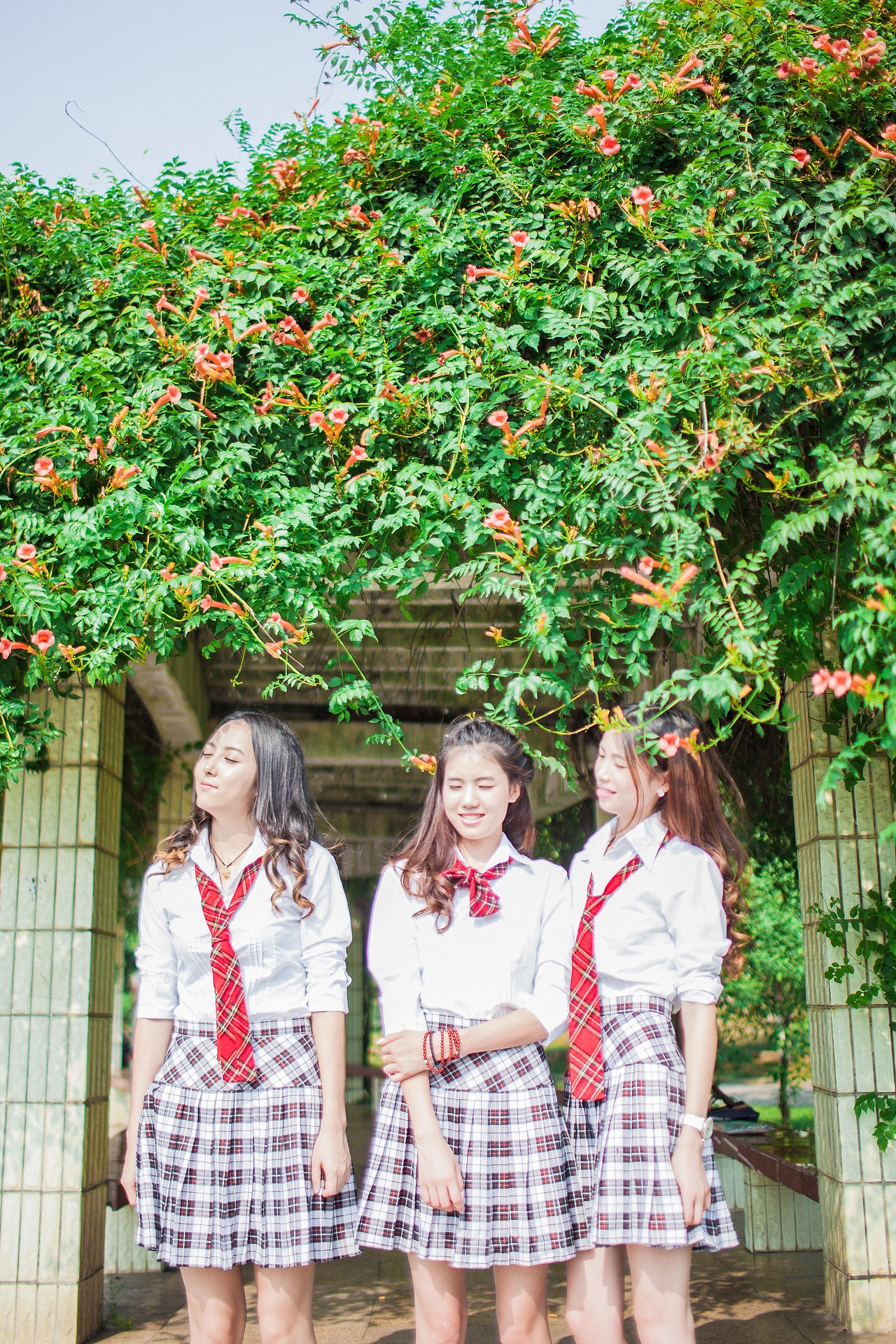 时光不老,我们不散