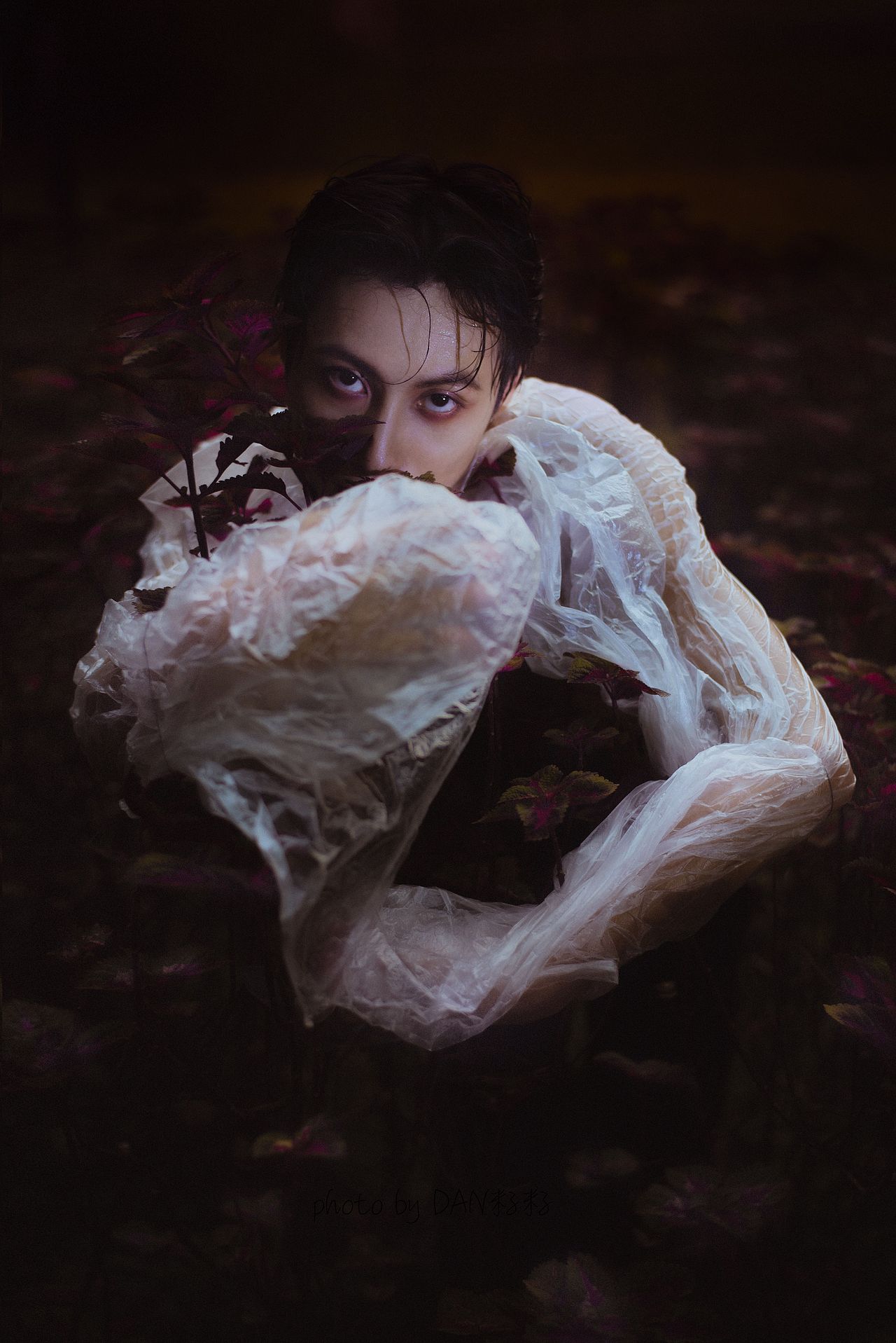 烈焰繁花（图ZMjI3NTczODg0） - 人像摄影 - 站酷设计师DAN籽籽原创素材 - 站酷ZCOOL