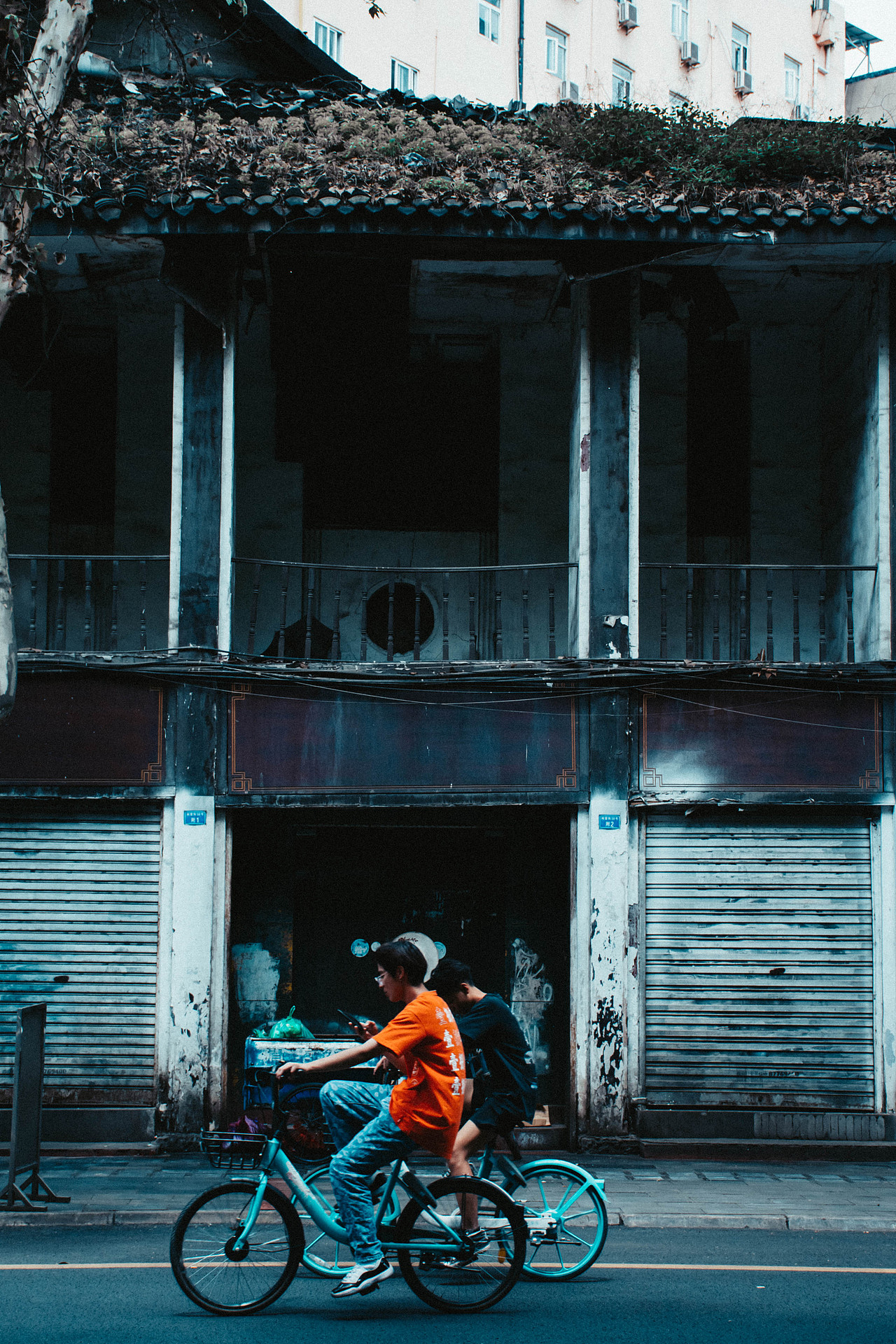 平淡日子里的刺