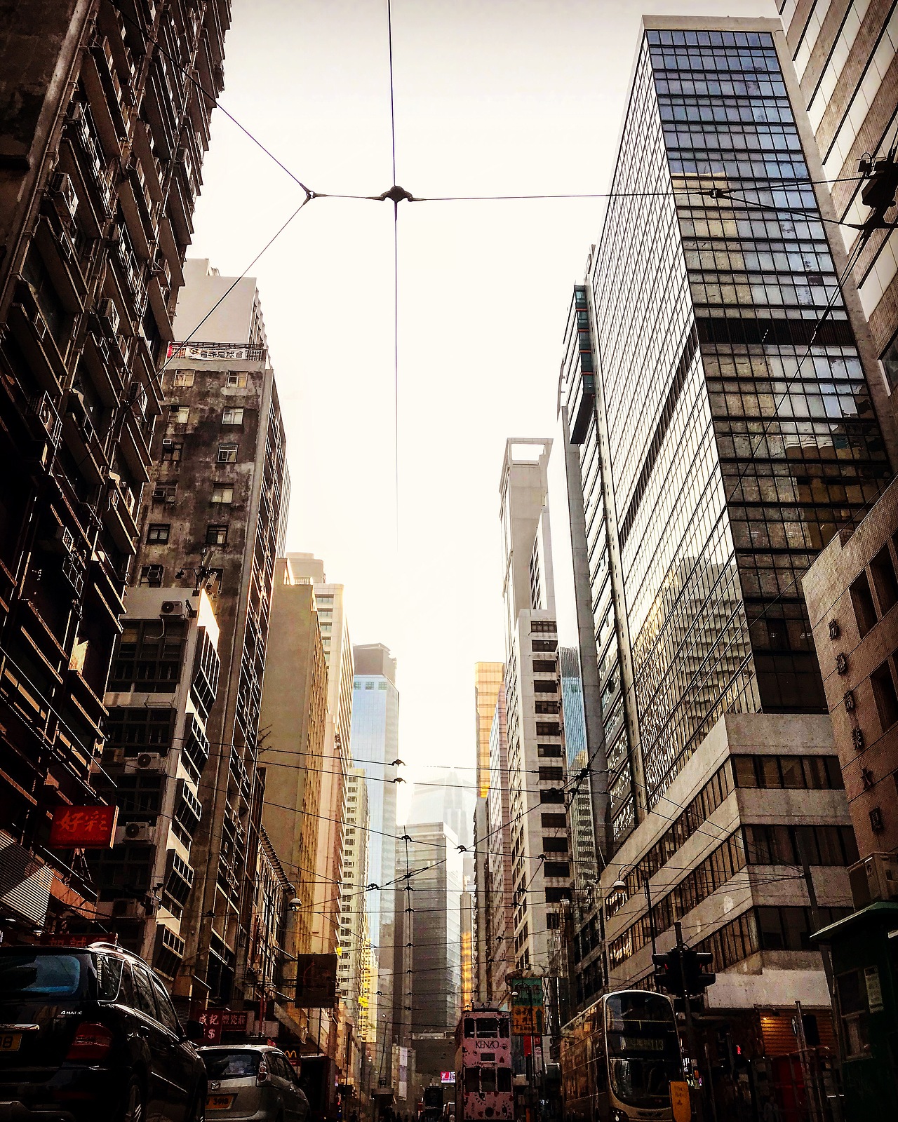 香港 I那些做助理的日子