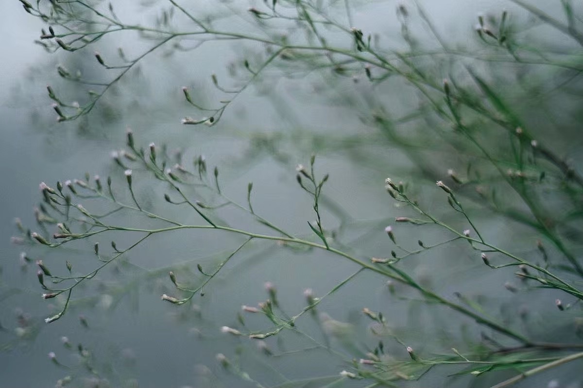 2020作品集2/3 -摄影：人像 风景 静物（图ZMjA3NTcwMjEy） - 其他 - 站酷设计师青椒给你吃原创素材 - 站酷ZCOOL