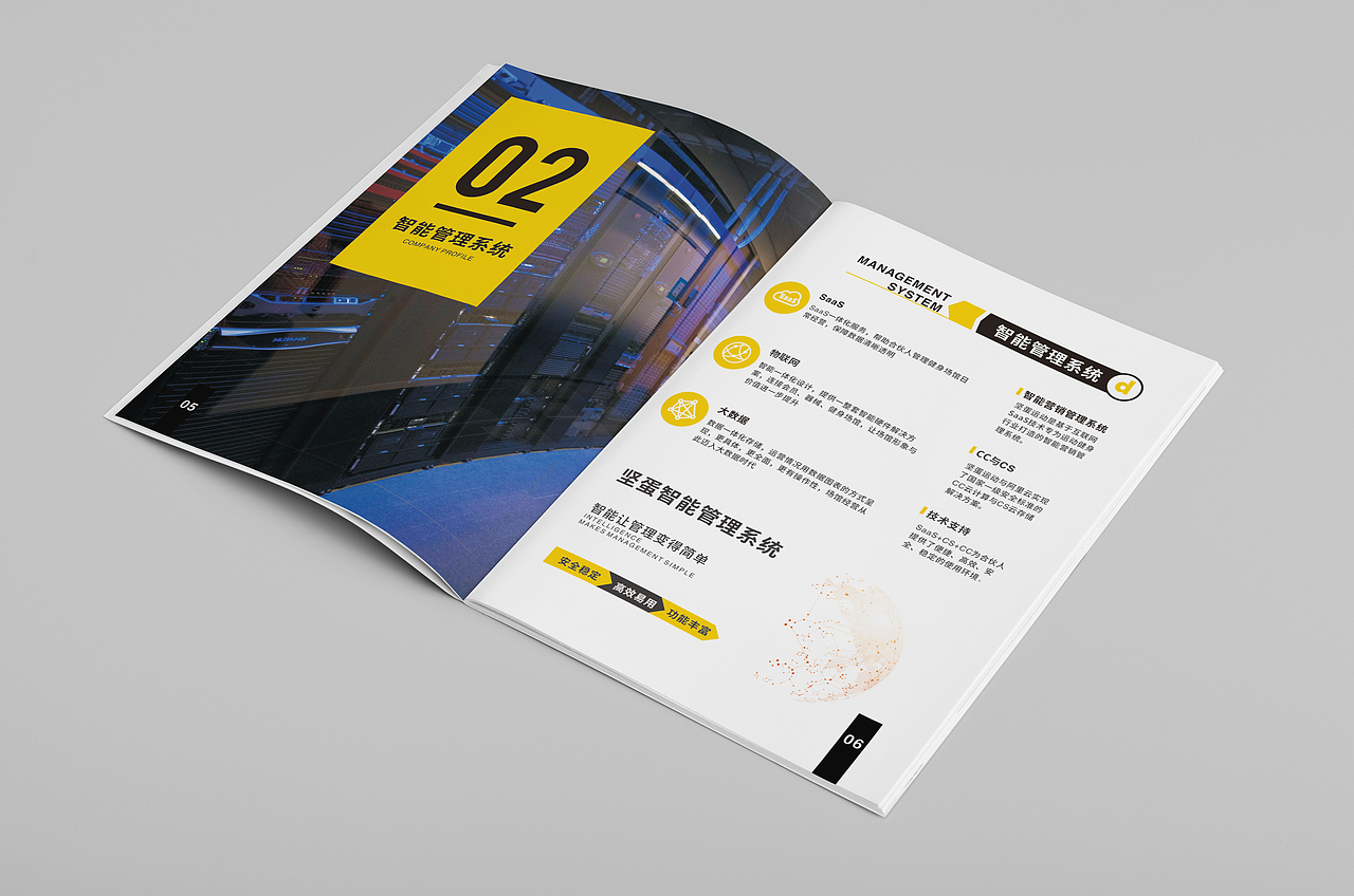 坚蛋运动宣传册