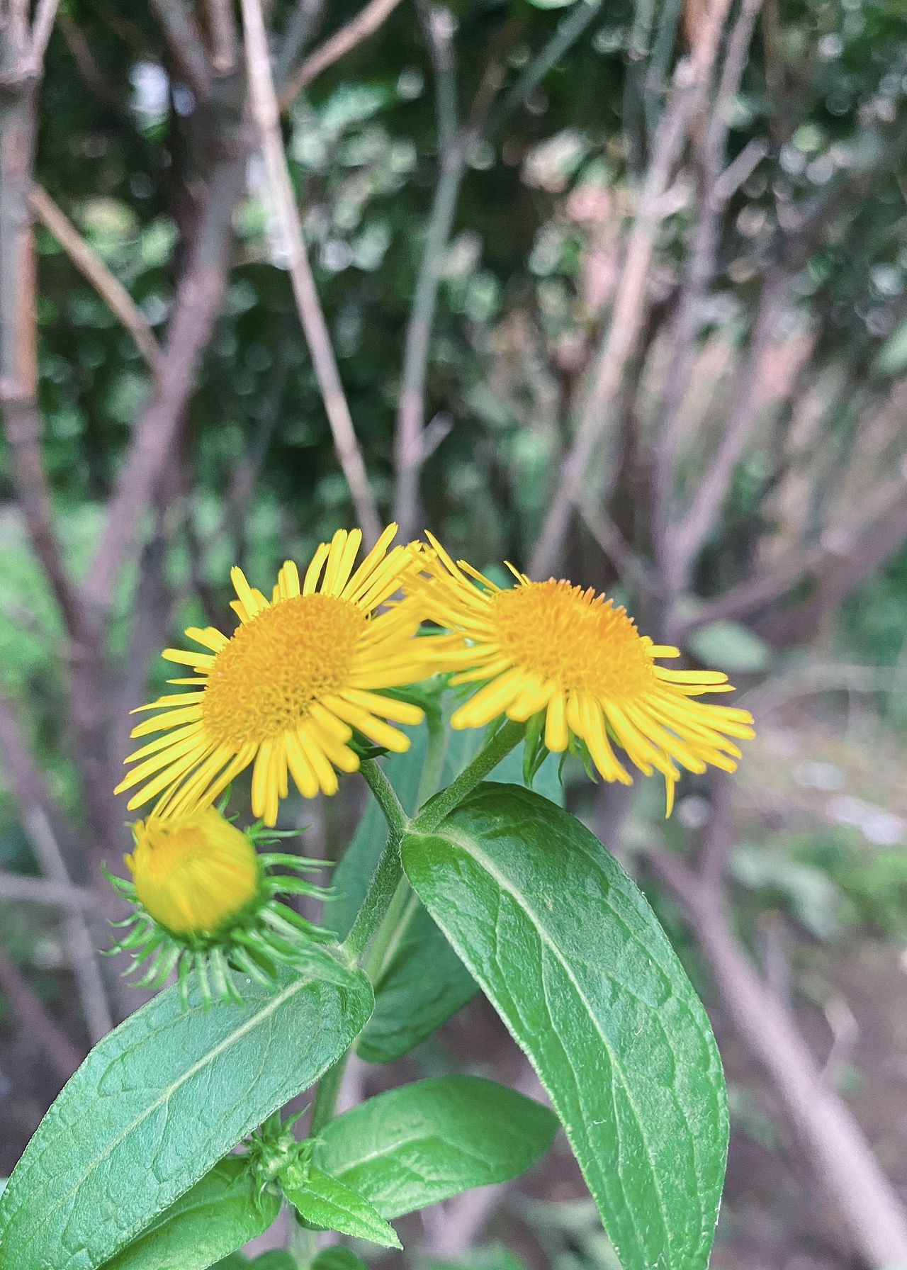 夏末秋初（图ZMjIxMDg2MzUy） - 风光摄影 - 站酷设计师探游新生原创素材 - 站酷ZCOOL