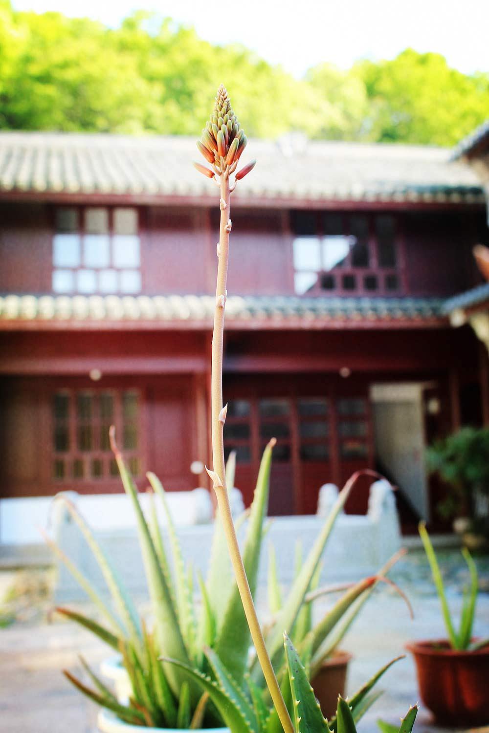 癸巳春尾南游——佛国普陀（图ZOTQ1OTcwNA==） - 风光摄影 - 站酷设计师莲羊原创素材 - 站酷ZCOOL