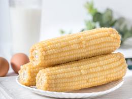 玉米