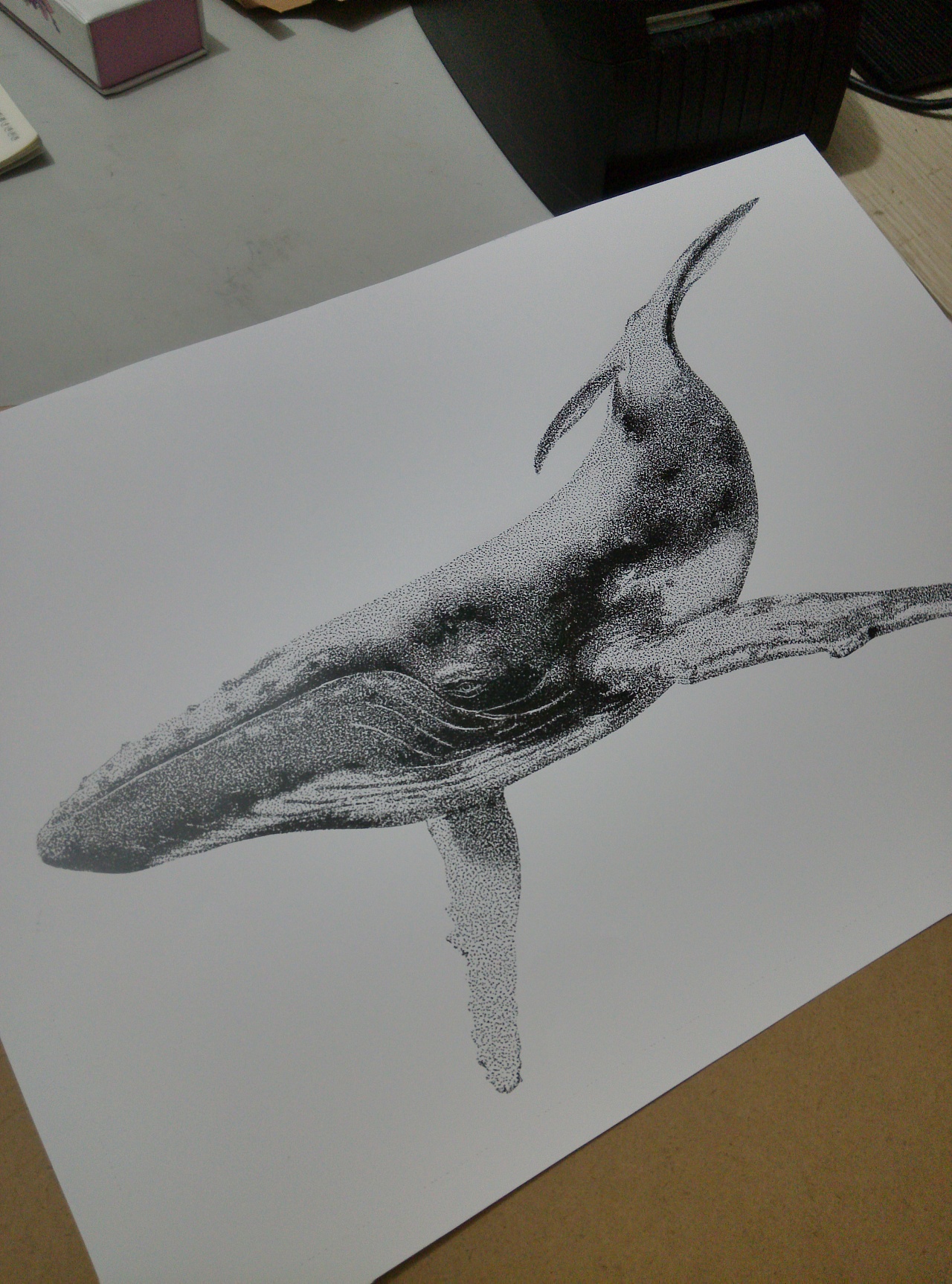 濒危动物系列素描