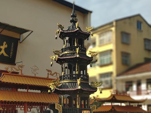 米8随手拍