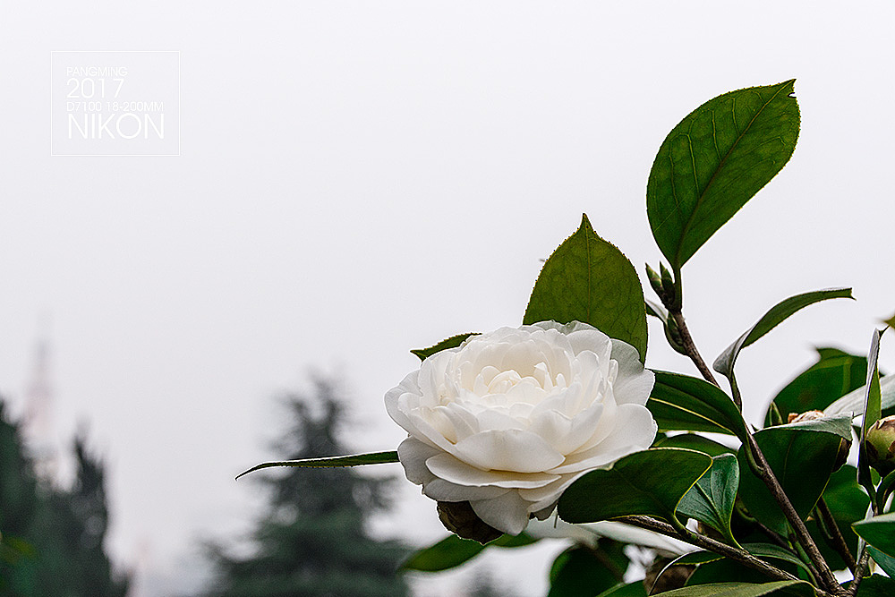 走过的是人群 穿过的是生活