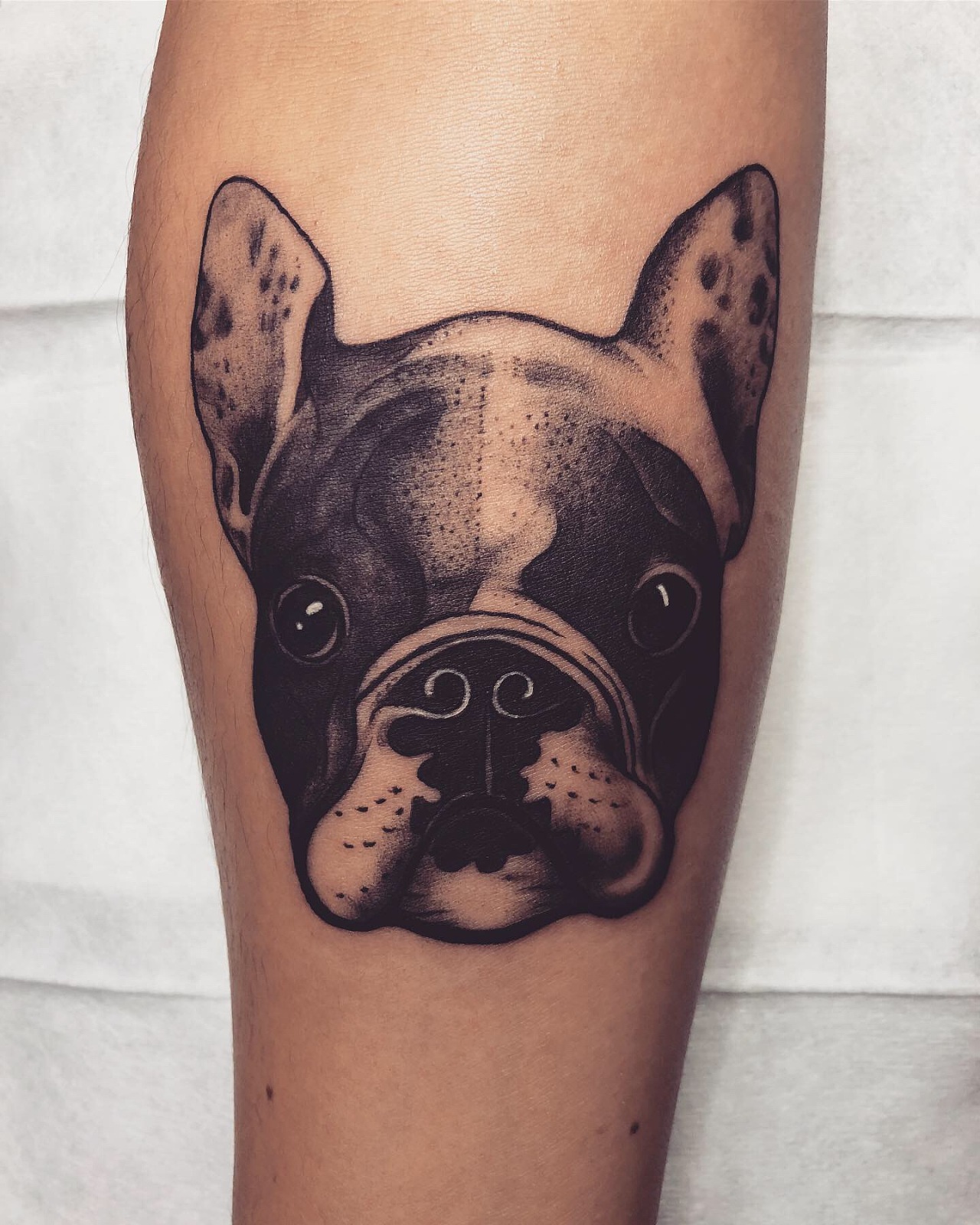 为朋友做一只法斗