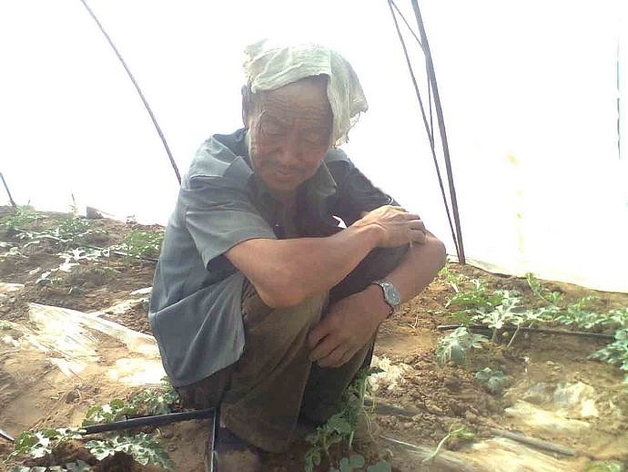 下乡 等待丰收 2012 05 27 我在农业部门的那些日子（图ZMjcxNjQzMTgw） - 人文/纪实摄影 - 站酷设计师森林会展原创素材 - 站酷ZCOOL