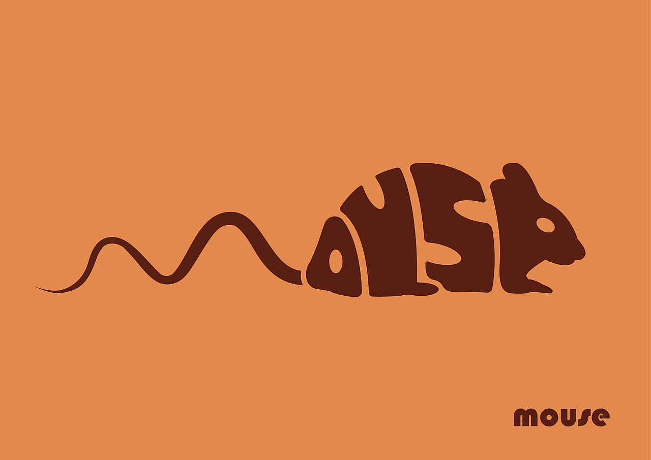 【动物】图形创意练习