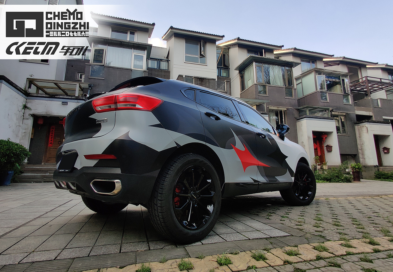 汽车车膜个性化定制真实呈现（已备案）