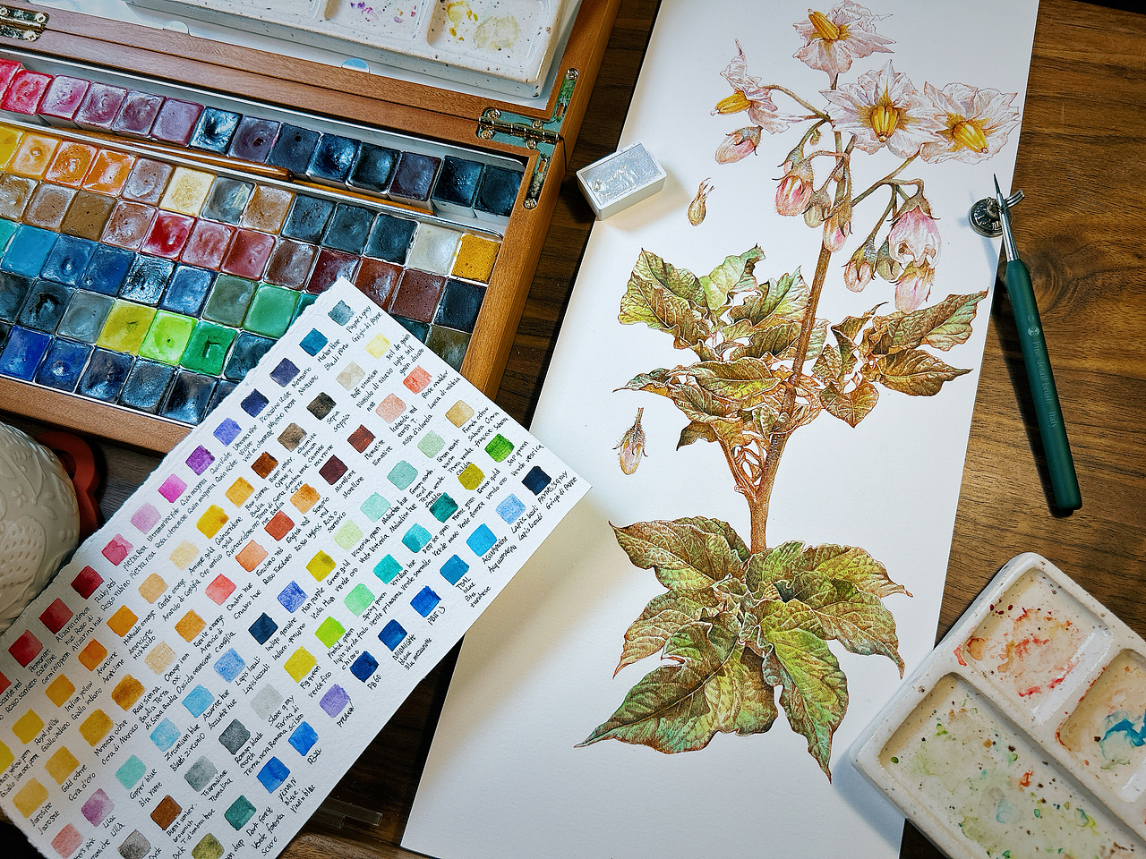 蘸水笔针管笔｜土豆花（平凡而伟大）（图ZMzc3NDA4NTc2） - 艺术插画 - 站酷设计师CatCastleDZ原创素材 - 站酷ZCOOL