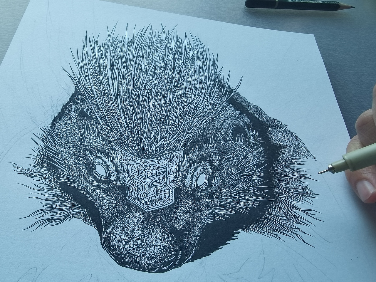 2023.11.09毣柞山海-北山经-谯明山-孟槐(特写)