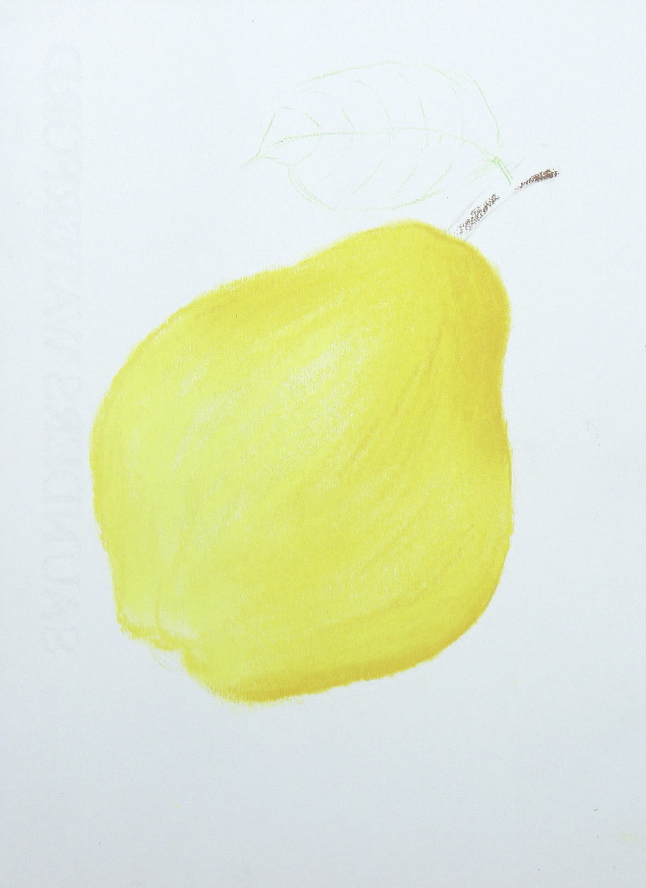 教你如何用彩铅快速画出一个梨子 你会了吗？|纯艺术|绘画|小雪绘画 - 原创作品 - 站酷 (ZCOOL)