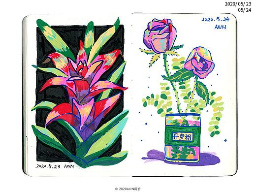 AXIN | SKETCHES #02