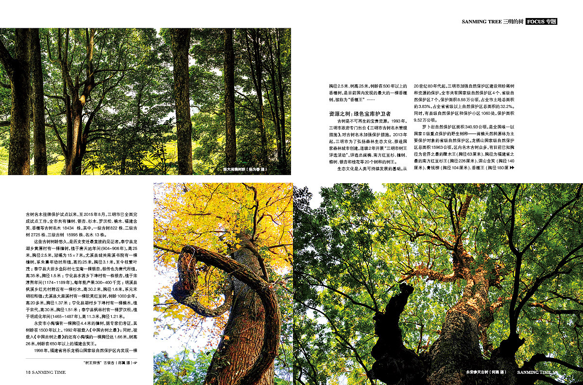 《时代三明》杂志-专题·三明的树-封面:李家乡鲜水塘