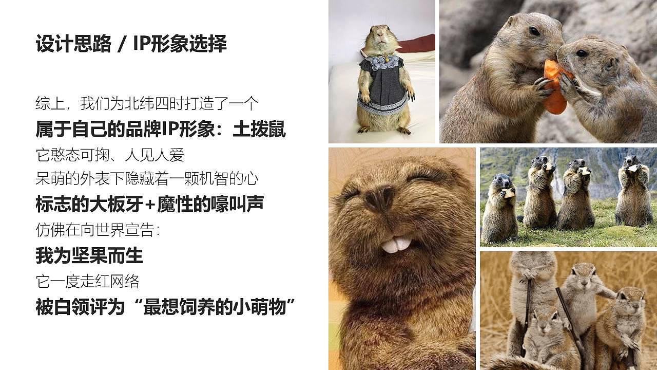 【喜舍】包装设计 / 北纬四时 / 2019