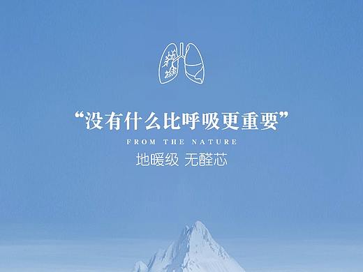 地板详情