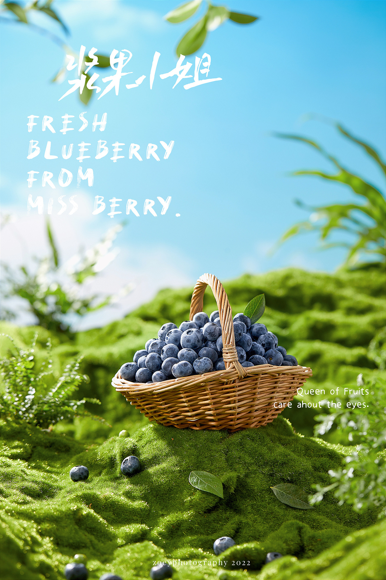 蓝莓（图ZMjkzMzQ4MTUy） - 美食摄影 - 站酷设计师海岛华映静物摄影原创素材 - 站酷ZCOOL