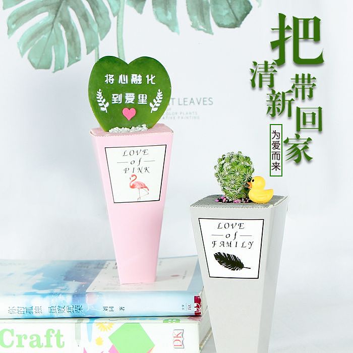 植物详情页（图ZMjA0NjA0OTE2） - 宣传物料 - 站酷设计师梁小样孒原创素材 - 站酷ZCOOL