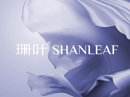 珊叶纸巾全案设计 