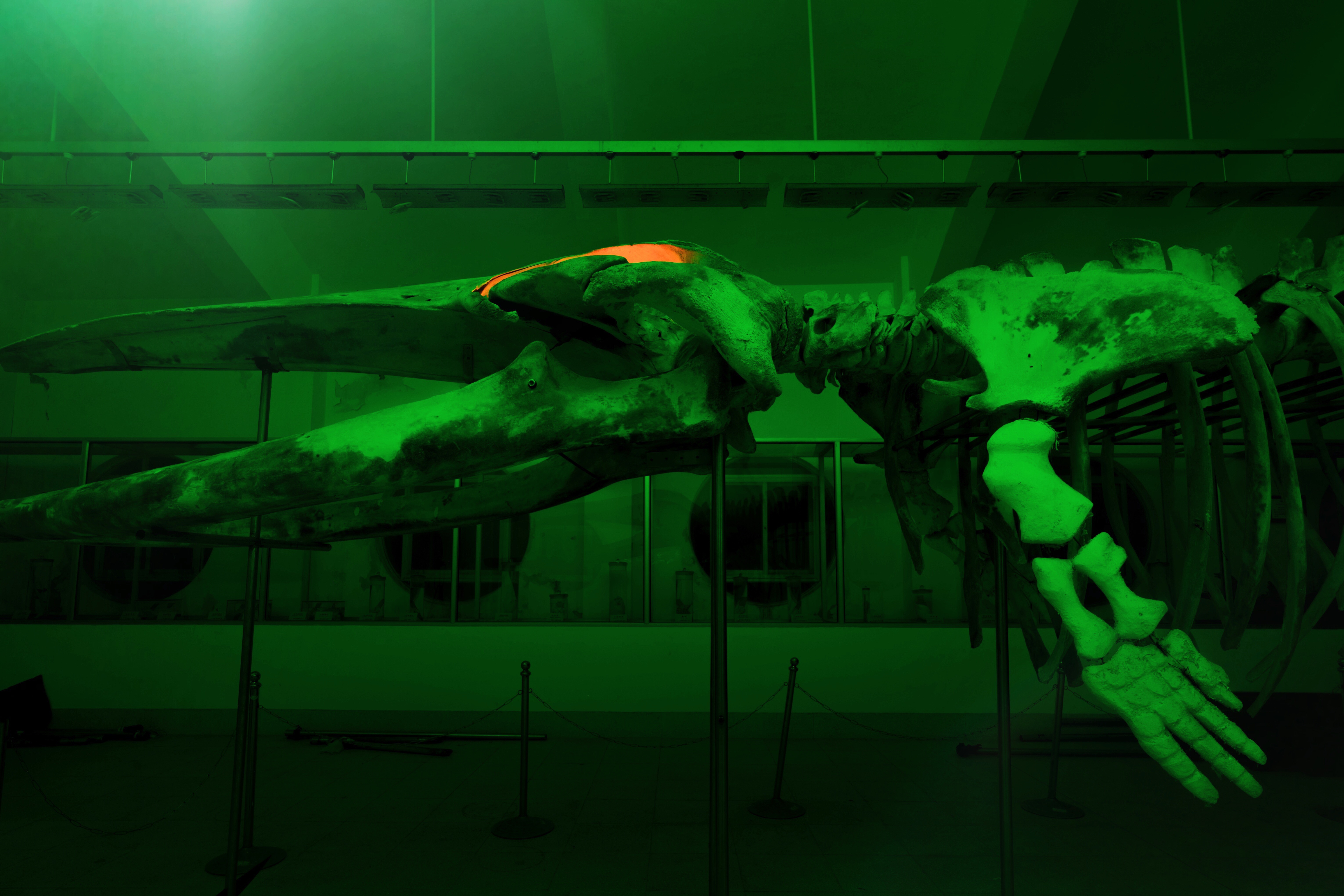 Fag1Ch的个人主页（封面预览） - 主页封面设置 - 站酷设计师Fag1Ch原创素材 - 站酷ZCOOL