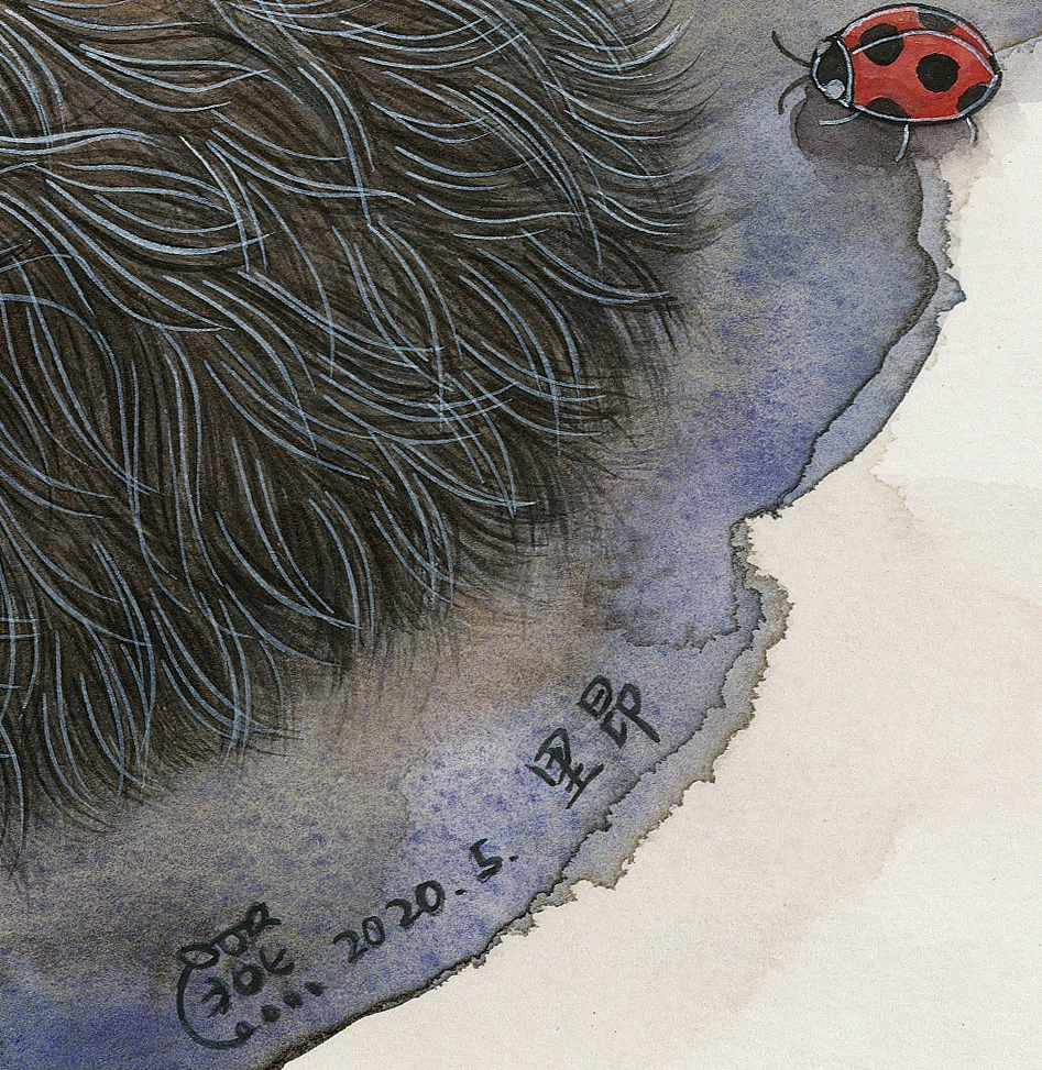 《八仙九猫》水彩插画系列