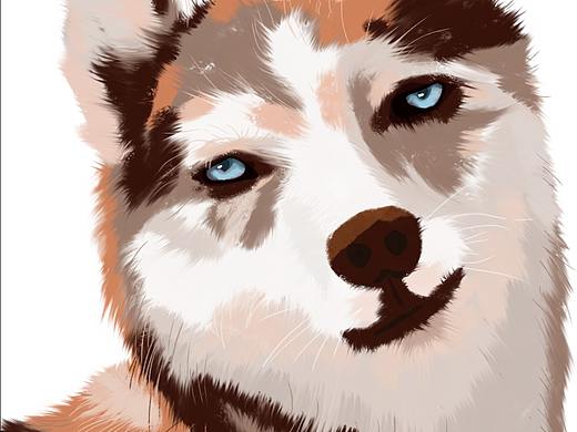 猫猫狗狗（个人主页-ZNDgzNTQyODA=） - 创作习作 - 站酷设计师山火火原创素材 - 站酷ZCOOL