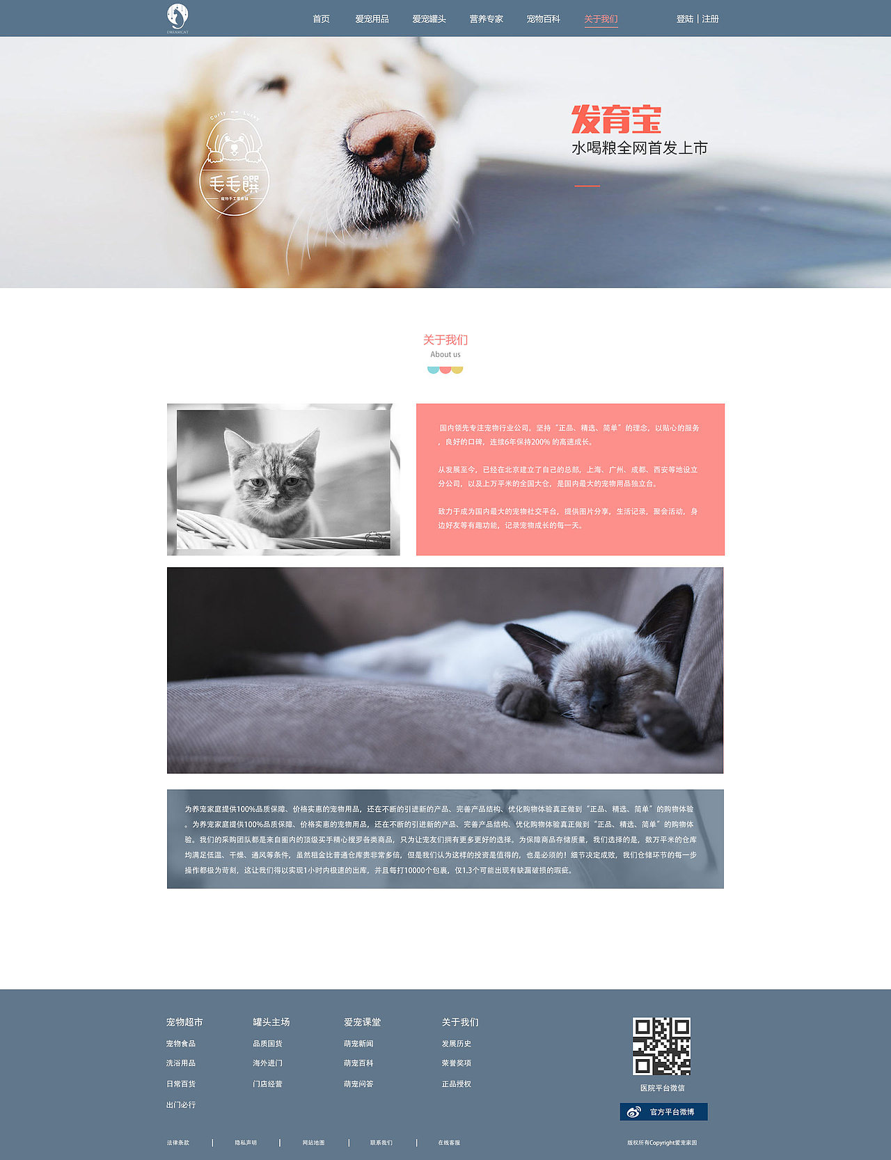 宠物网站（图ZMTI0NDUwODY4） - 企业官网 - 站酷设计师走走走哇原创素材 - 站酷ZCOOL