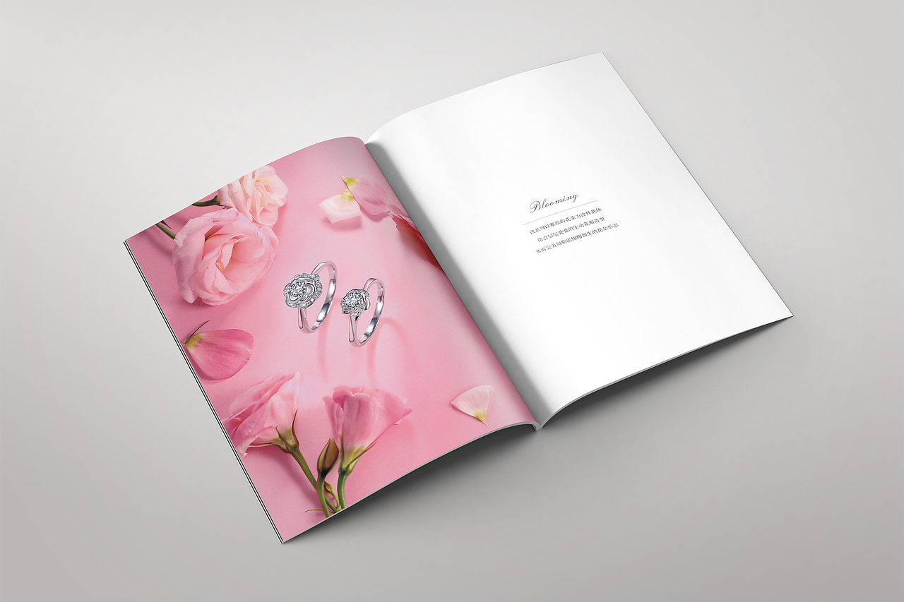 珠宝新品/LOGO/海报/画册 合集（图ZMjAyOTAzNzUy） - 品牌 - 站酷设计师悦白原创素材 - 站酷ZCOOL
