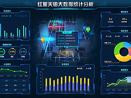 红星天铂大数据统计分析