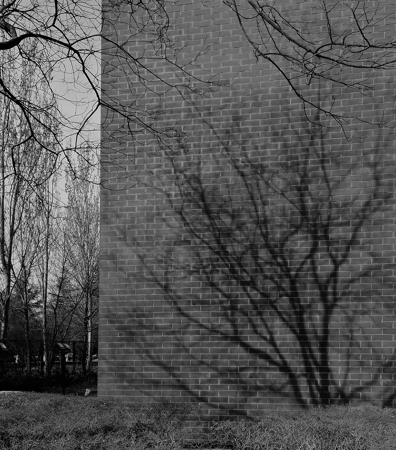 一组光影▪摄影作品（图ZMTU0Nzk1ODU2） - 人文/纪实摄影 - 站酷设计师Ruu粥原创素材 - 站酷ZCOOL