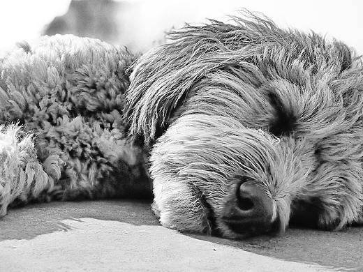 手机摄影（个人主页-ZNDU1NzY1NDg=） - 修图/后期 - 站酷设计师自觉性关切原创素材 - 站酷ZCOOL