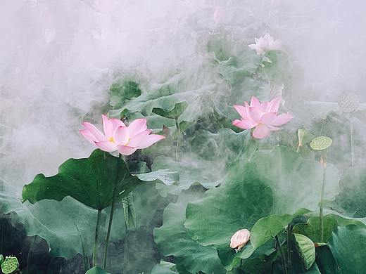 家乡-新盈胜境