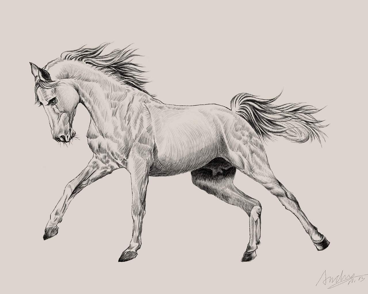 【绘画教程】板绘马怎么画？教你动物马的各种形态画法教程！ - 知乎