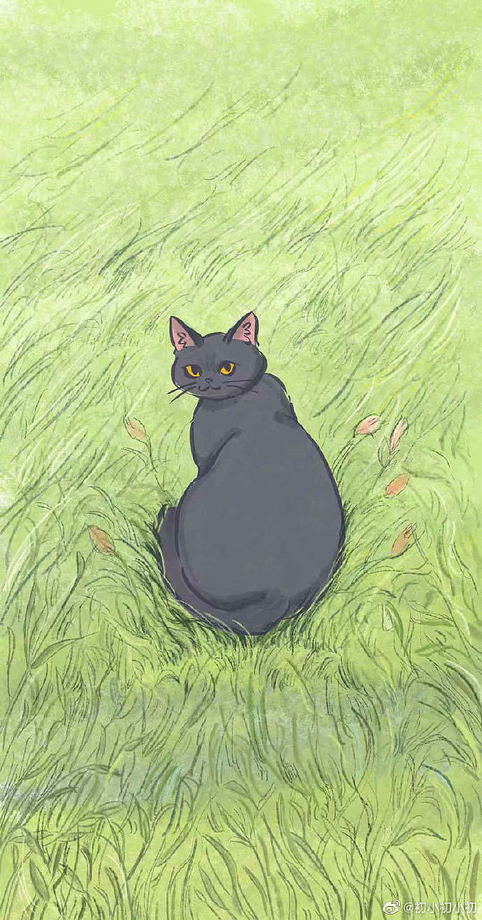 猫咪系列 （二）（图ZMjYyNTU0NTcy） - 创作习作 - 站酷设计师一碗鲜肉小馄饨原创素材 - 站酷ZCOOL