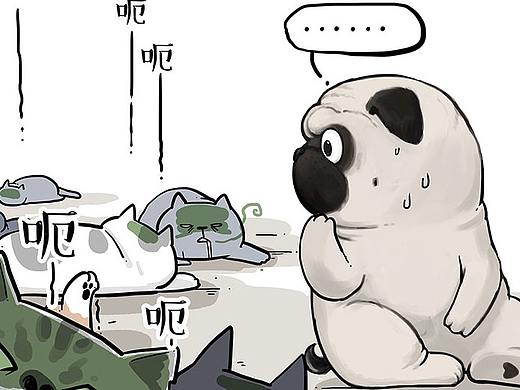我的致命武器，最终败给了你的好脾气