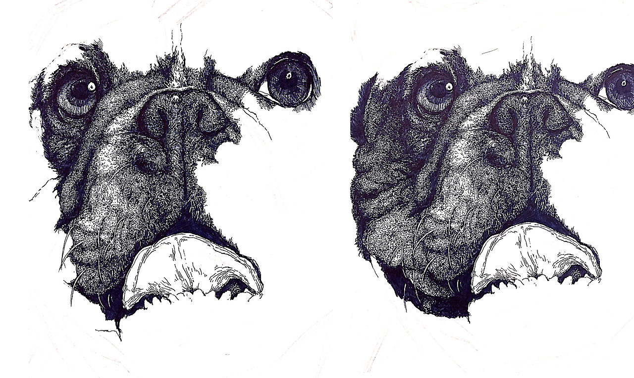 大一插画（图ZMTY5OTk2MDIw） - 创作习作 - 站酷设计师大丌原创素材 - 站酷ZCOOL