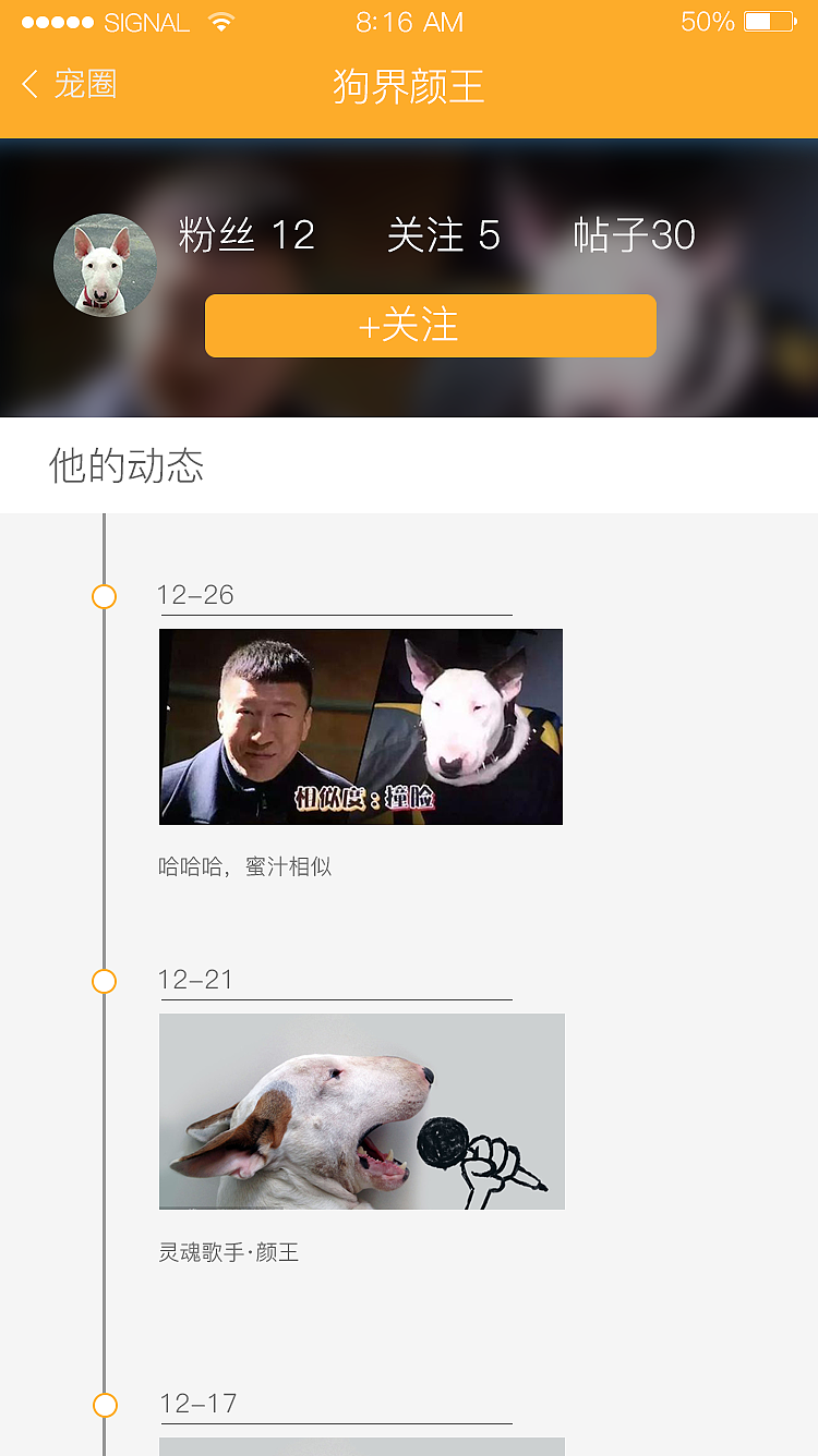 宠倍爱app