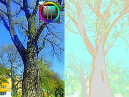 #色彩派對30天#限定色域