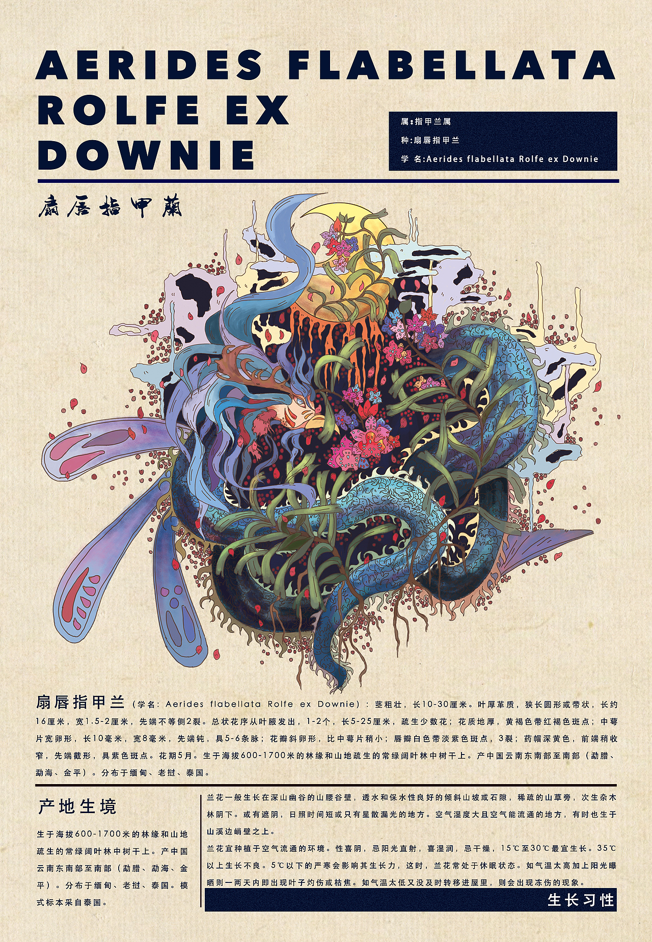 《繁灭》濒危植物插画（图ZMTc1MjM5NTA0） - 绘本 - 站酷设计师杨柚露露原创素材 - 站酷ZCOOL