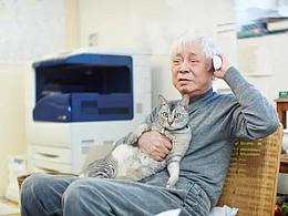设计大佬